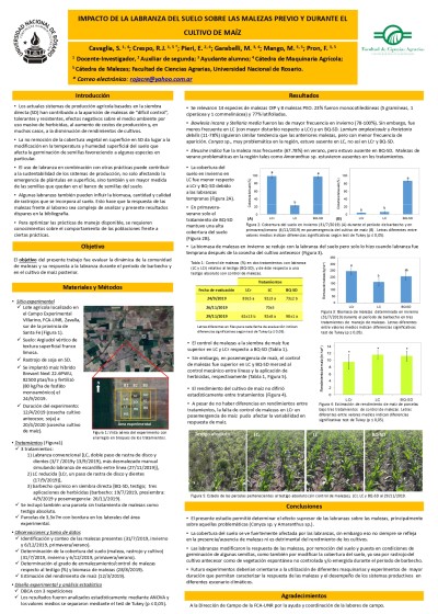 Read more about the article IMPACTO DE LA LABRANZA DEL SUELO SOBRE LAS MALEZAS PREVIO Y DURANTE EL CULTIVO DE MAÍZ