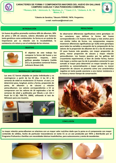 Read more about the article CARACTERES DE FORMA Y COMPONENTES MAYORES DEL HUEVO EN GALLINAS CAMPERO CASILDA Y UNA PONEDORA COMERCIAL