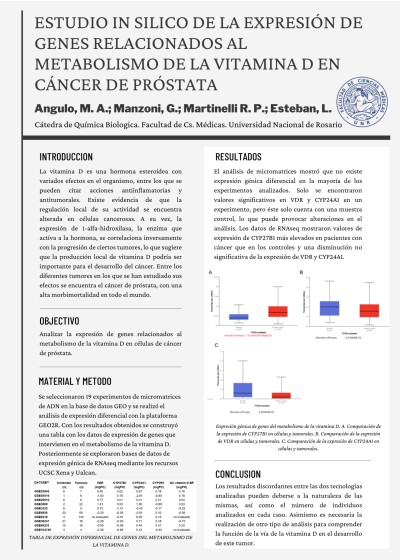 Read more about the article ESTUDIO IN SILICO DE LA EXPRESIÓN DE GENES RELACIONADOS AL METABOLISMO DE LA VITAMINA D EN CÁNCER DE PRÓSTATA