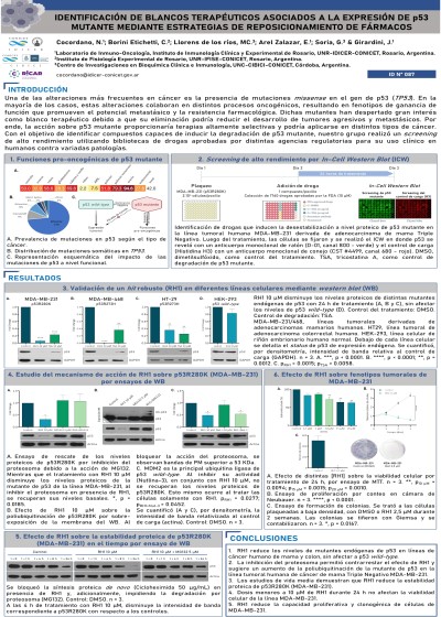 Read more about the article IDENTIFICACIÓN DE BLANCOS TERAPÉUTICOS ASOCIADOS A LA EXPRESIÓN DE p53 MUTANTE MEDIANTE ESTRATEGIAS DE REPOSICIONAMIENTO DE FÁRMACOS