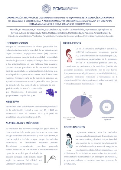 Read more about the article COPORTACIÓN ANOVAGINAL DE Staphylococcus aureus y Streptococcus BETA HEMOLÍTICOS GRUPO B (S. agalactiae) Y SENSIBILIDAD A ANTIMICROBIANOS EN Staphylococcus aureus, EN UN GRUPO DE EMBARAZADAS LUEGO DE LA SEMANA 28 DE GESTACIÓN