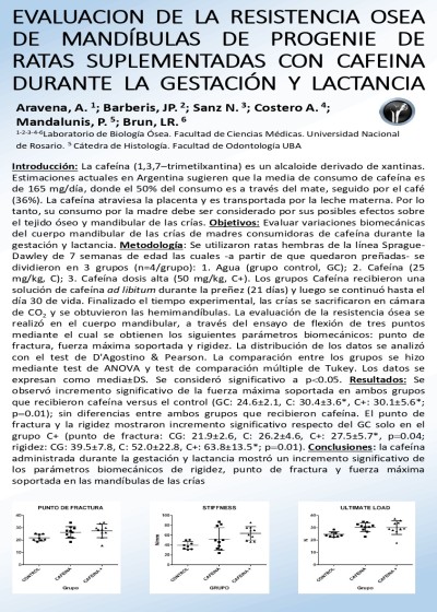Read more about the article ANÁLISIS BIOMECÁNICO DE MANDÍBULAS DE PROGENIE DE RATAS SUPLEMENTADAS CON CAFEINA DURANTE LA GESTACIÓN Y LACTANCIA