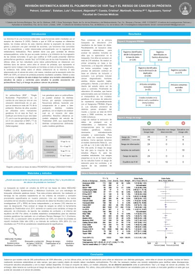 Read more about the article REVISIÓN SISTEMÁTICA SOBRE EL POLIMORFISMO DE VDR Taq1 Y EL RIESGO DE CÁNCER DE PRÓSTATA