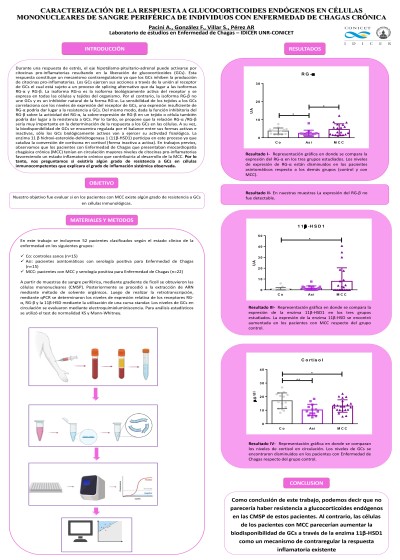 Read more about the article “CARACTERIZACIÓN DE LA RESPUESTA A GLUCOCORTICOIDES ENDÓGENOS EN CÉLULAS MONONUCLEARES DE SANGRE PERIFÉRICA DE INDIVIDUOS CON ENFERMEDAD DE CHAGAS CRÓNICA”