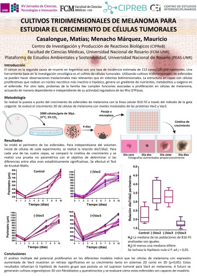 Read more about the article CULTIVOS TRIDIMENSIONALES DE MELANOMA PARA ESTUDIAR EL CRECIMIENTO DE CÉLULAS TUMORALES.