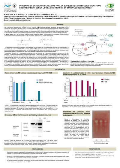 Read more about the article SCREENING DE EXTRACTOS DE PLANTAS PARA LA BÚSQUEDA DE COMPUESTOS BIOACTIVOS QUE INTERFIERAN CON LA LIPOILACIÓN PROTEICA EN STAPHYLOCOCCUS AUREUS