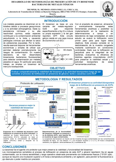 Read more about the article DESARROLLO DE METODOLOGÍAS DE PRESERVACIÓN DE UN BIOSENSOR BACTERIANO DE METALES TÓXICOS