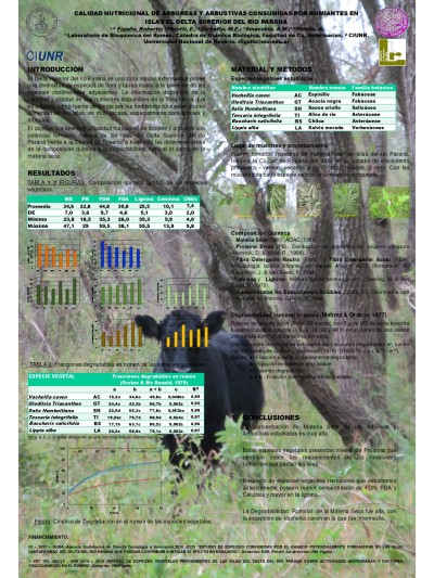 Read more about the article CALIDAD NUTRICIONAL DE ARBOREAS Y ARBUSTIVAS CONSUMIDAS POR RUMIANTES EN ISLAS EL DELTA SUPERIOR DEL RIO PARANÁ.