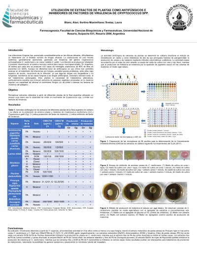 Read more about the article UTILIZACIÓN DE EXTRACTOS DE PLANTAS COMO ANTIFÚNGICOS E INHIBIDORES DE FACTORES DE VIRULENCIA DE CRYPTOCOCCUS SPP.