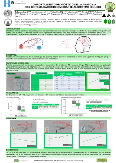 Read more about the article COMPORTAMIENTO PRONÓSTICO DE LA ANATOMÍA DEL SISTEMA CAROTÍDEO MEDIANTE ALGORITMOS DE HIGUCHI. ESTUDIO PRELIMINAR.