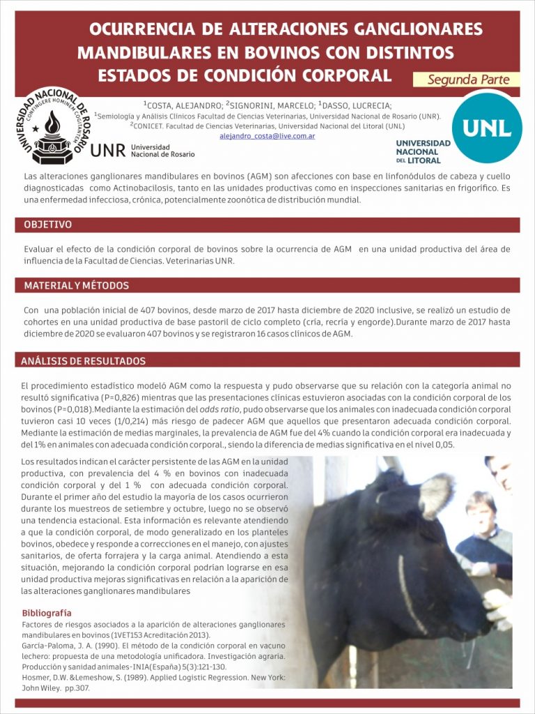 Read more about the article OCURRENCIA DE ALTERACIONES GANGLIONARES MANDIBULARES EN BOVINOS CON DISTINTOS ESTADOS DE CONDICIÓN CORPORAL. SEGUNDA PARTE