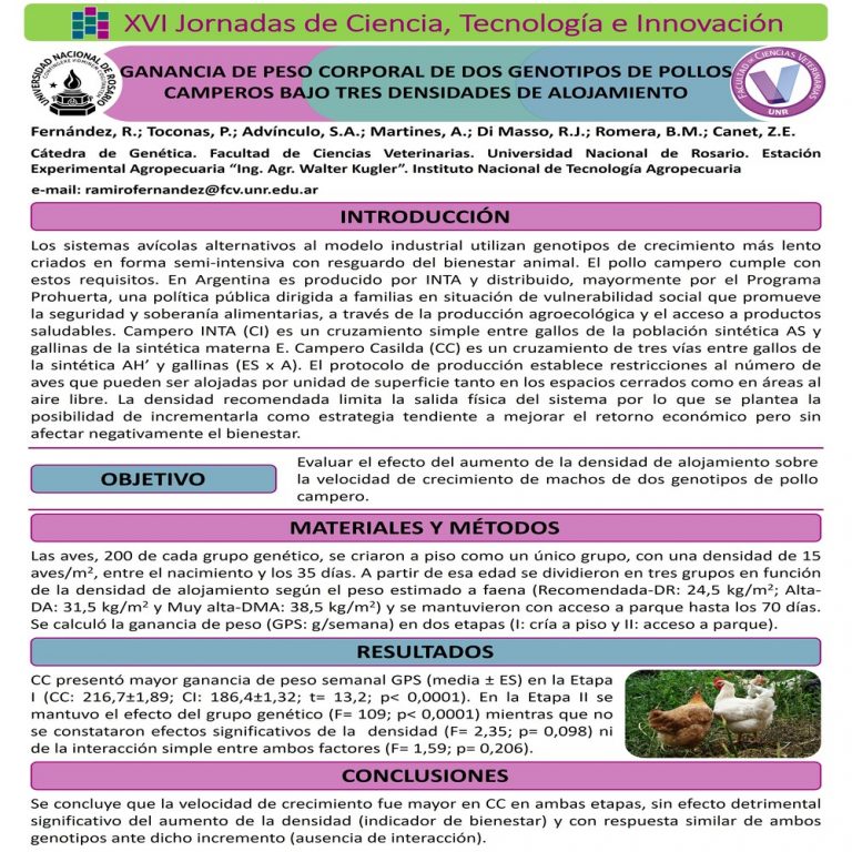 Read more about the article GANANCIA DE PESO CORPORAL DE DOS GENOTIPOS DE POLLOS CAMPEROS BAJO TRES DENSIDADES DE ALOJAMIENTO