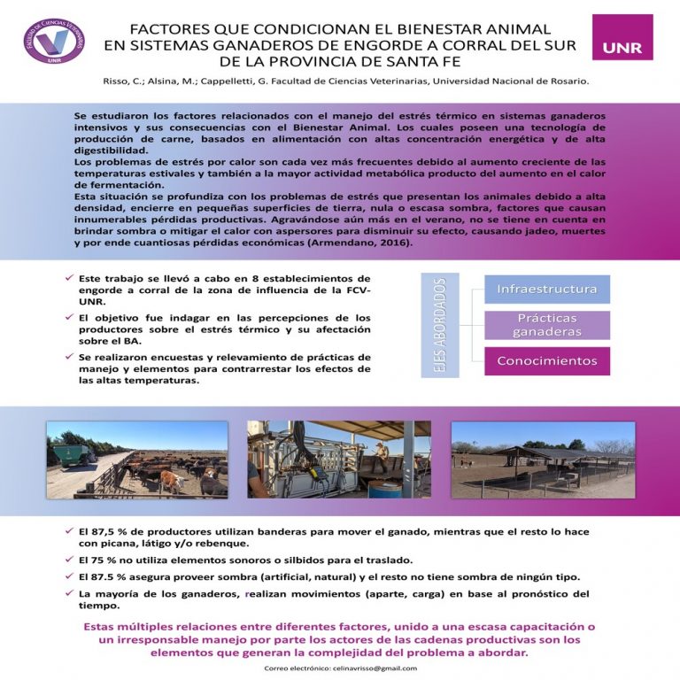 Read more about the article FACTORES QUE CONDICIONAN EL BIENESTAR ANIMAL EN SISTEMAS GANADEROS DE ENGORDE A CORRAL DEL SUR DE LA PROVINCIA DE SANTA FE