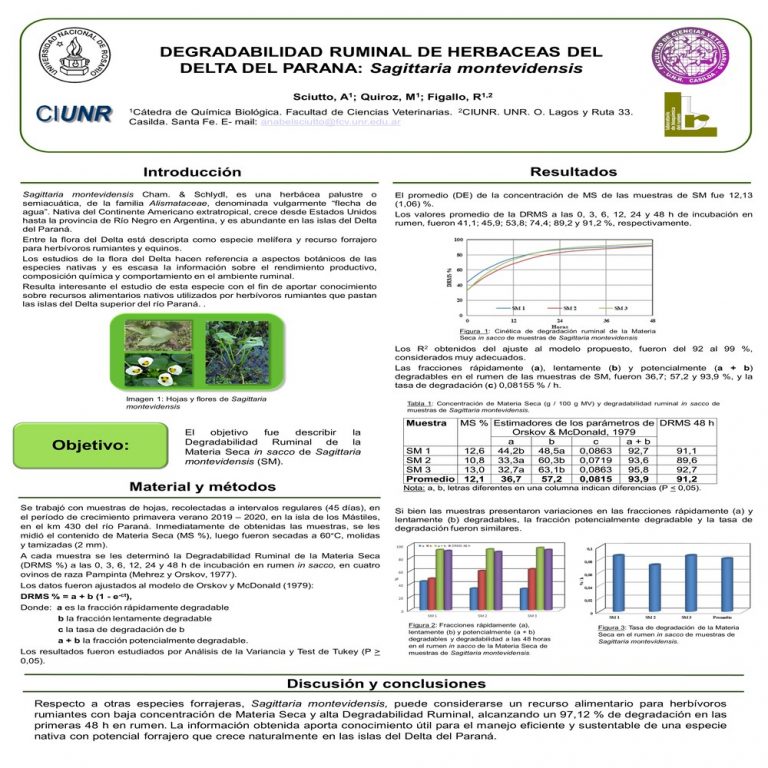 Read more about the article DEGRADABILIDAD RUMINAL DE HERBACEAS DEL DELTA DEL PARANA: Sagittaria montevidensis