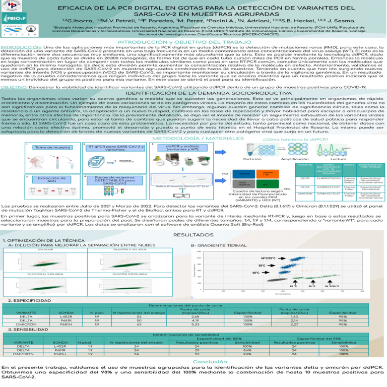 Read more about the article EFICACIA DE LA PCR DIGITAL EN GOTAS PARA LA DETECCIÓN DE VARIANTES DEL SARS-CoV-2 EN MUESTRAS AGRUPADAS