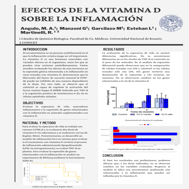 Read more about the article EFECTOS DE LA VITAMINA D SOBRE LA INFLAMACIÓN CRÓNICA