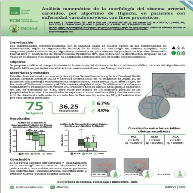 Read more about the article ANÁLISIS MATEMÁTICO DE LA MORFOLOGÍA DEL SISTEMA ARTERIAL CAROTÍDEO, POR ALGORITMO DE HIGUCHI, EN PACIENTES CON ENFERMEDAD VASCULONERVIOSA, CON FINES PRONÓSTICOS