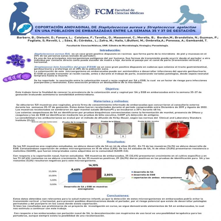 Read more about the article COPORTACIÓN ANOVAGINAL DE Staphylococcus aureus y Streptococcus BETA HEMOLÍTICOS GRUPO B (S. agalactiae) Y SENSIBILIDAD A ANTIMICROBIANOS EN Staphylococcus aureus, EN UN GRUPO DE EMBARAZADAS ENTRE LA SEMANA 35 Y 37 DE GESTACIÓN.