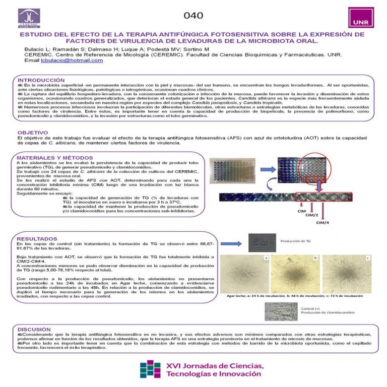 Read more about the article ESTUDIO DEL EFECTO DE LA TERAPIA ANTIFÚNGICA FOTOSENSITIVA SOBRE LA EXPRESIÓN DE FACTORES DE VIRULENCIA DE LEVADURAS DE LA MICROBIOTA ORAL