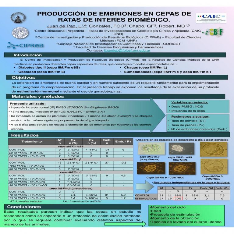 Read more about the article PRODUCCION DE EMBRIONES EN CEPAS DE RATAS DE INTERES BIOMÉDICO