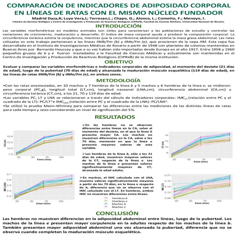 Read more about the article COMPARACIÓN DE INDICADORES DE ADIPOSIDAD CORPORAL EN LÍNEAS DE RATAS CON EL MISMO NÚCLEO FUNDADOR