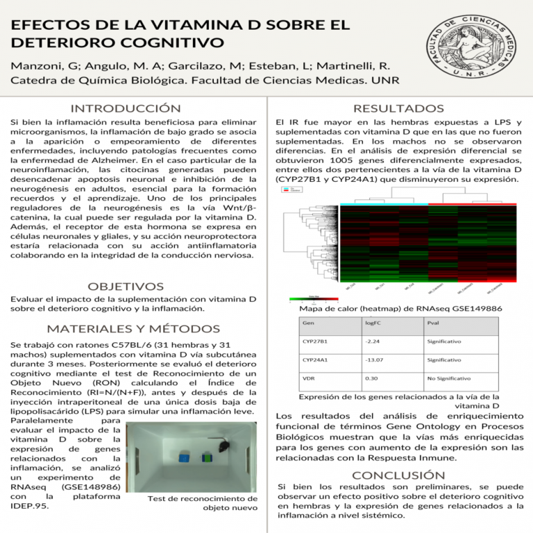 Read more about the article EFECTOS DE LA VITAMINA D SOBRE EL DETERIORO COGNITIVO