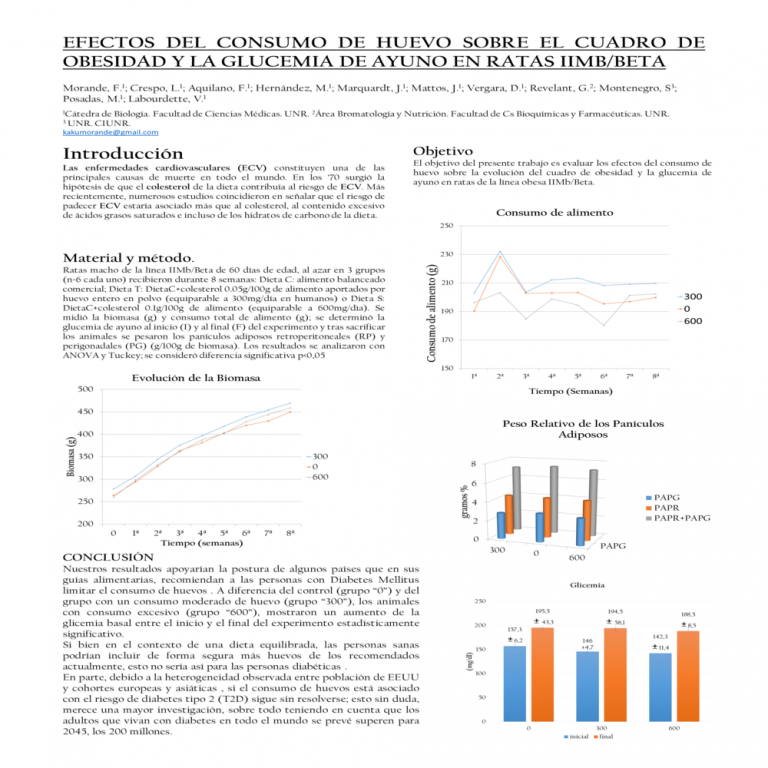 Read more about the article EFECTOS DEL CONSUMO DE HUEVO SOBRE EL CUADRO DE OBESIDAD Y LA GLUCEMIA DE AYUNO EN RATAS IIMB/BETA