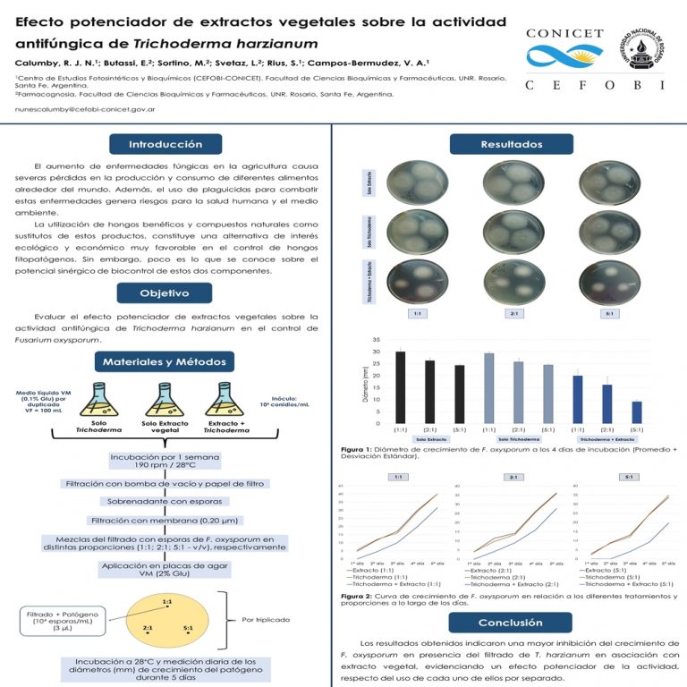 Read more about the article EFECTO POTENCIADOR DE EXTRACTOS VEGETALES SOBRE LA ACTIVIDAD ANTIFÚNGICA DE Trichoderma harzianum