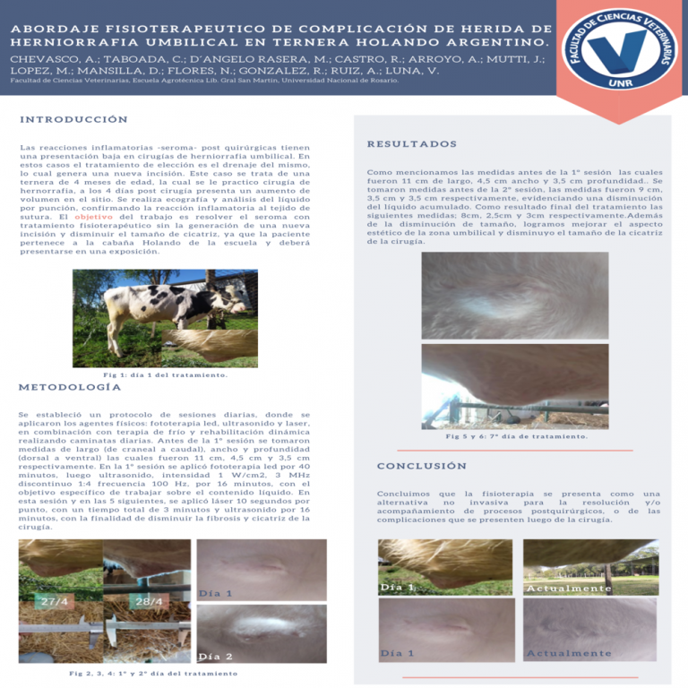 Lee más sobre el artículo ABORDAJE FISIOTERAPEUTICO DE COMPLICACIÓN DE HERIDA DE HERNIORRAFIA UMBILICAL EN TERNERA HOLANDO ARGENTINO.