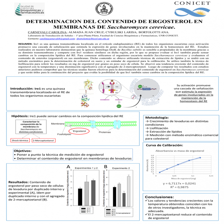 Read more about the article DETERMINACION DEL CONTENIDO DE ERGOSTEROL EN MEMBRANAS DE Saccharomyces cerevicae.