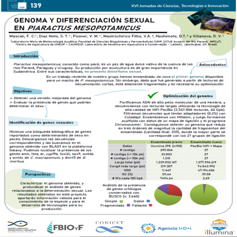 Read more about the article GENOMA Y DIFERENCIACIÓN SEXUAL EN PIARACTUS MESOPOTAMICUS