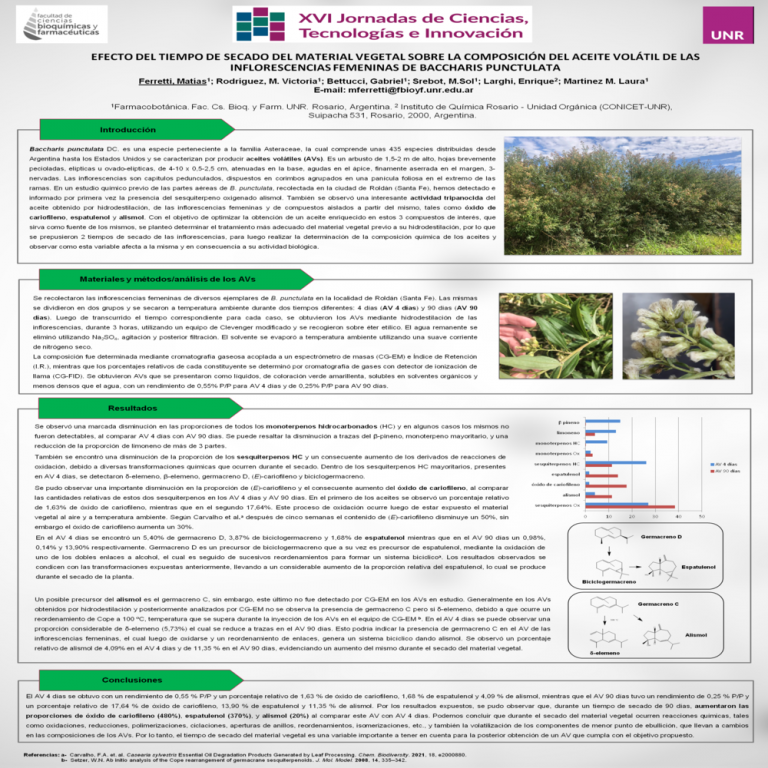 Read more about the article EFECTO DEL TIEMPO DE SECADO DEL MATERIAL VEGETAL SOBRE LA COMPOSICIÓN DEL ACEITE VOLÁTIL DE LAS INFLORESCENCIAS FEMENINAS DE BACCHARIS PUNCTULATA
