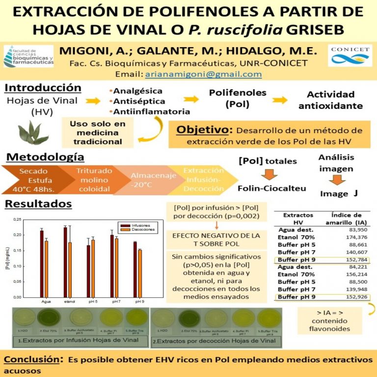 Read more about the article EXTRACCIÓN DE POLIFENOLES A PARTIR DE HOJAS DE VINAL O Prosopis ruscifolia GRISEB.