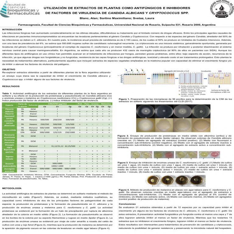Read more about the article UTILIZACIÓN DE EXTRACTOS DE PLANTAS COMO ANTIFÚNGICOS E INHIBIDORES DE FACTORES DE VIRULENCIA DE CANDIDA ALBICANS Y CRYPTOCOCCUS SPP.