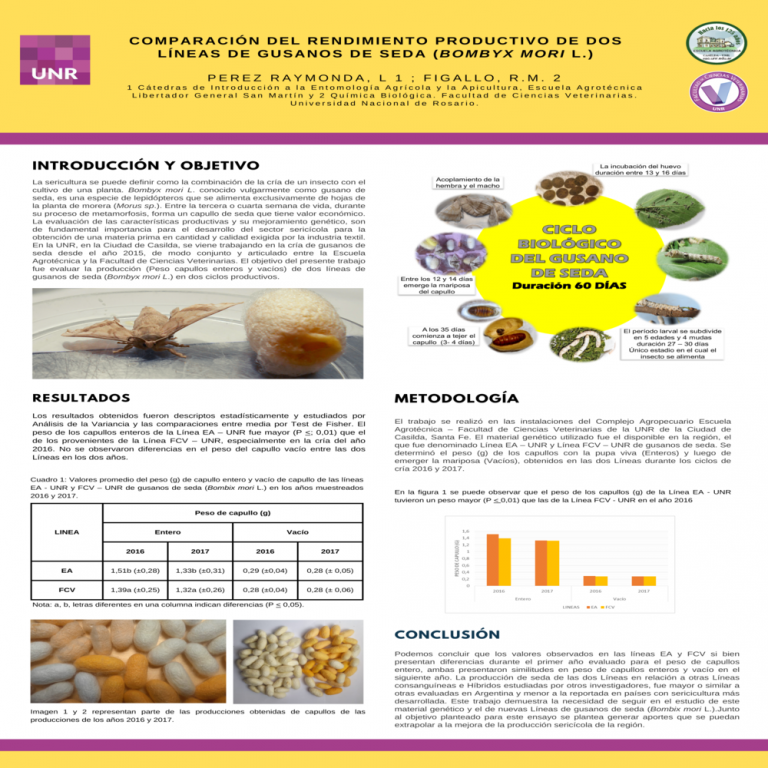 Read more about the article COMPARACIÓN DEL RENDIMIENTO PRODUCTIVO DE DOS LÍNEAS DE GUSANOS DE SEDA (BombyxmoriL.)