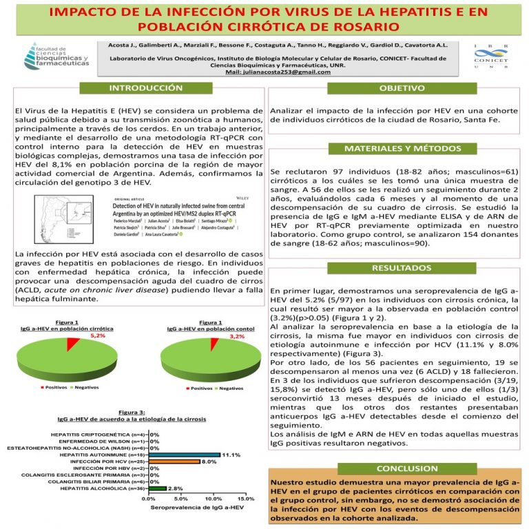 Read more about the article IMPACTO DE LA INFECCIÓN POR VIRUS DE LA HEPATITIS E EN POBLACIÓN CIRRÓTICA DE ROSARIO