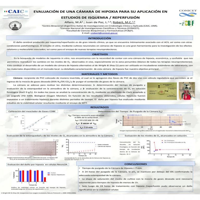 Lee más sobre el artículo EVALUACIÓN DE UNA CÁMARA DE HIPOXIA PARA SU APLICACIÓN EN ESTUDIOS DE ISQUEMIA/ REPERFUSIÓN