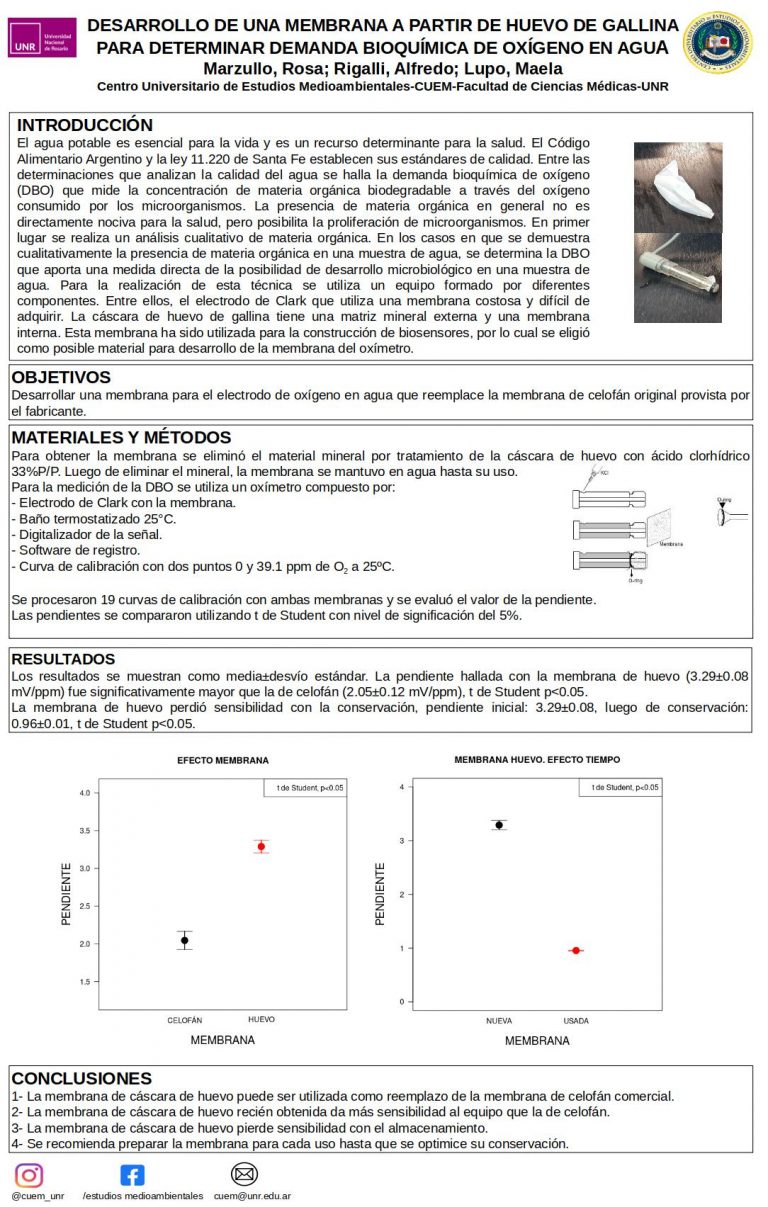 Read more about the article DESARROLLO DE UNA MEMBRANA A PARTIR DE HUEVO DE GALLINA PARA DETERMINAR DEMANDA BIOQUÍMICA DE OXÍGENO EN AGUA