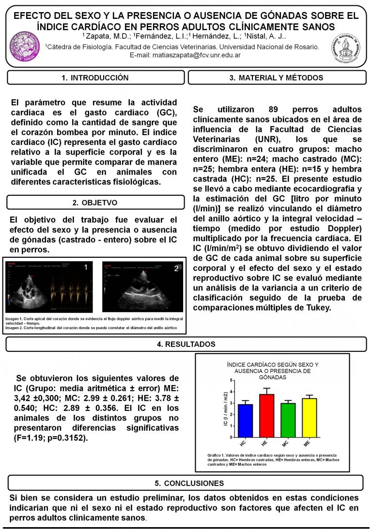 Read more about the article EFECTO DEL SEXO Y LA PRESENCIA O AUSENCIA DE GÓNADAS SOBRE EL ÍNDICE CARDÍACO EN PERROS ADULTOS CLÍNICAMENTE SANOS