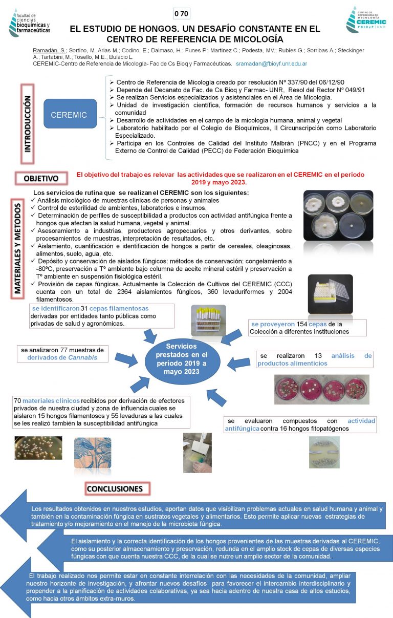 Read more about the article EL ESTUDIO DE HONGOS. UN DESAFÍO CONSTANTE EN EL CENTRO DE REFERENCIA DE MICOLOGÍA