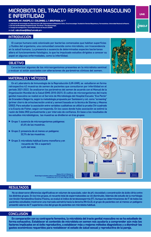 Read more about the article MICROBIOTA DEL TRACTO REPRODUCTOR MASCULINO E INFERTILIDAD