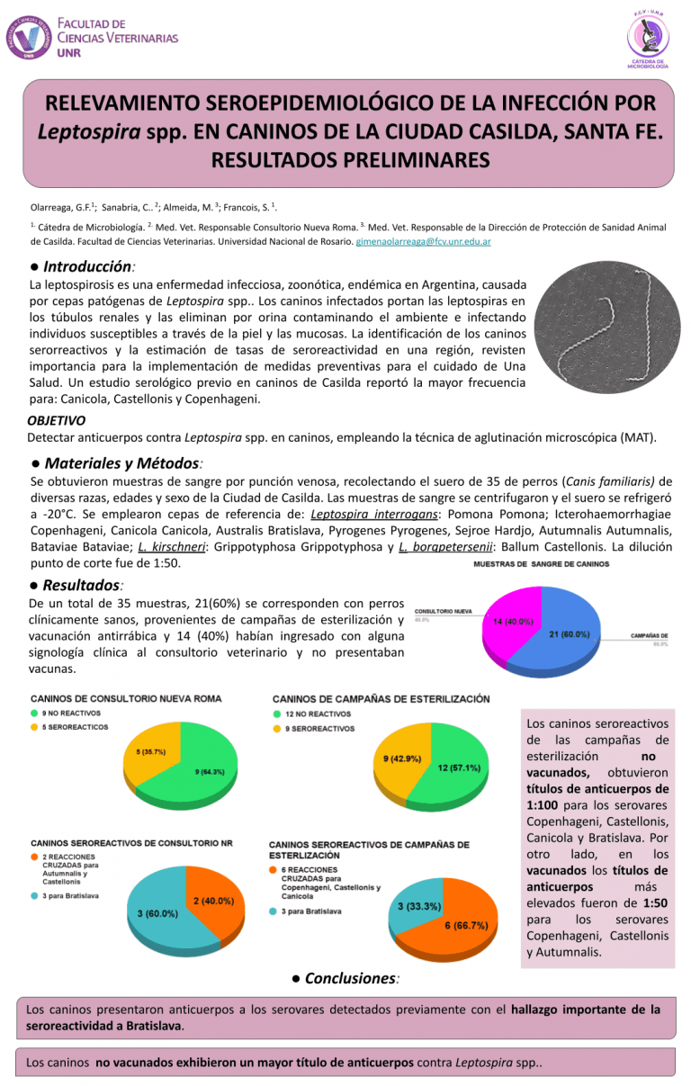 Read more about the article RELEVAMIENTO SEROEPIDEMIOLÓGICO DE LA INFECCIÓN POR Leptospira spp. EN CANINOS DE LA CIUDAD CASILDA, SANTA FE. RESULTADOS PRELIMINARES.