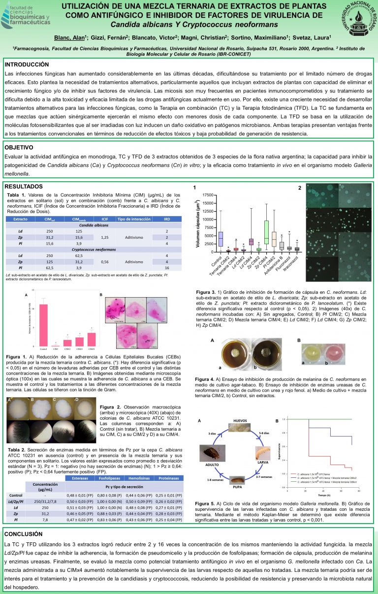 Read more about the article Utilización de una mezcla ternaria de extractos de plantas como antifúngico e inhibidor de factores de virulencia de Candida albicans y Cryptococcus neoformans