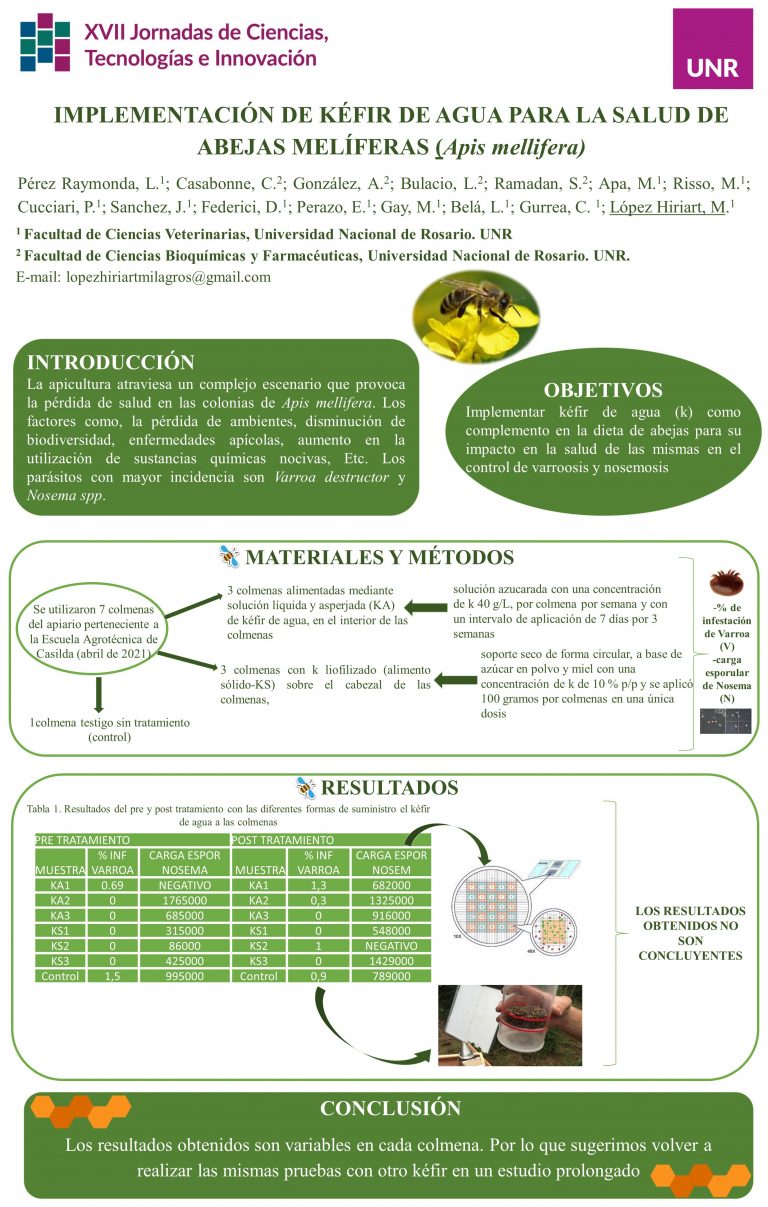 Read more about the article IMPLEMENTACIÓN DE KÉFIR DE AGUA PARA LA SALUD DE ABEJAS MELÍFERAS (Apis mellifera)