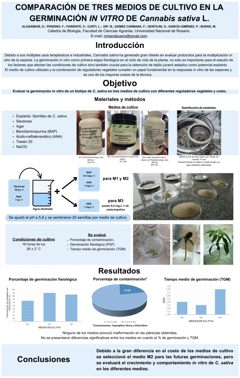 Read more about the article COMPARACIÓN DE TRES MEDIOS DE CULTIVO EN LA GERMINACIÓN IN VITRO DE Cannabis sativa