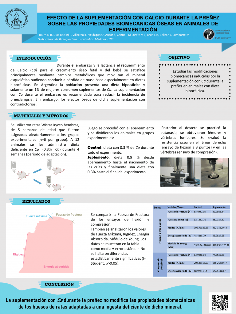 Read more about the article EFECTO DE LA SUPLEMENTACIÓN CON CALCIO DURANTE LA PREÑEZ SOBRE LAS PROPIEDADES BIOMECÁNICAS ÓSEAS EN ANIMALES DE EXPERIMENTACIÓN