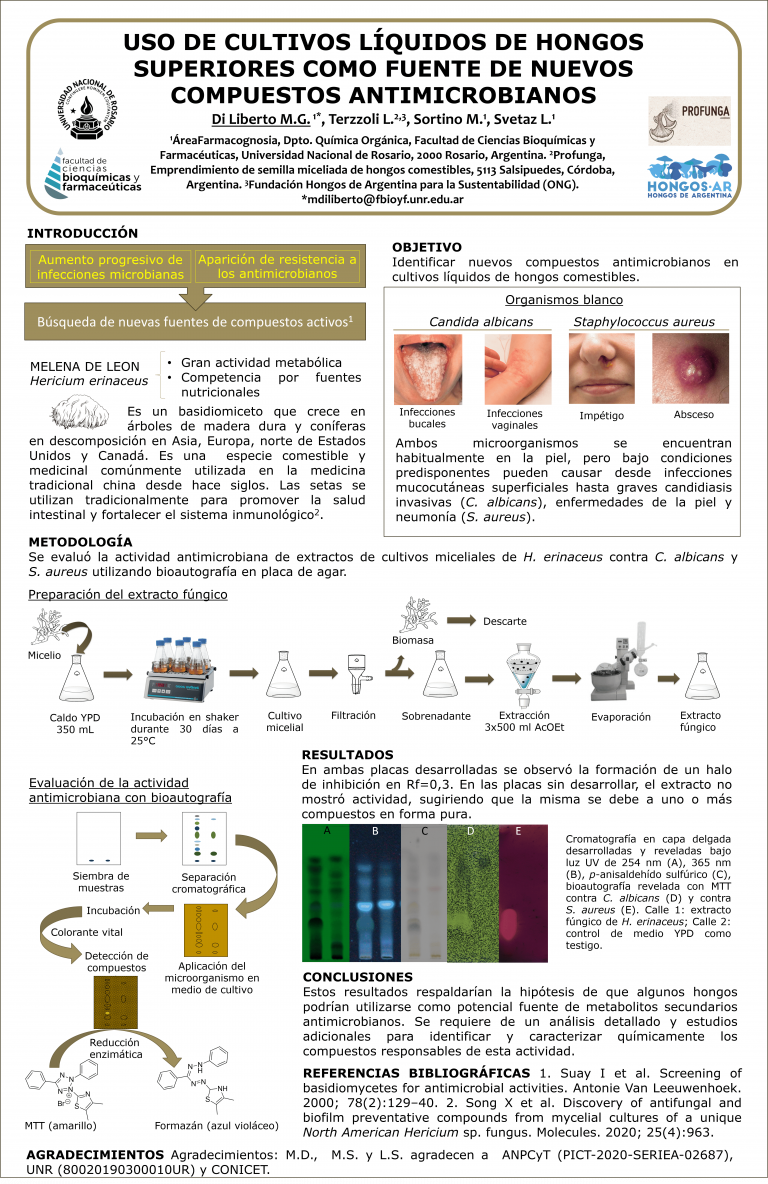 Read more about the article USO DE CULTIVOS LÍQUIDOS DE HONGOS SUPERIORES COMO FUENTE DE NUEVOS COMPUESTOS ANTIMICROBIANOS