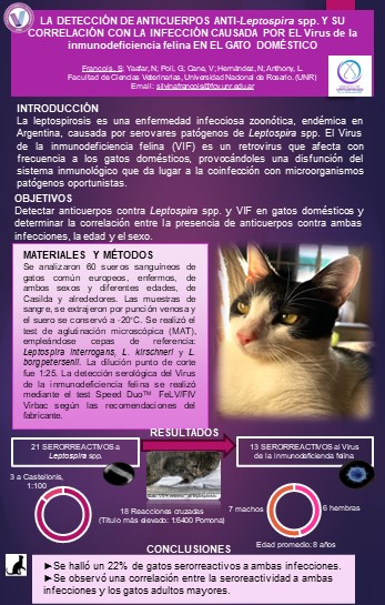 Read more about the article LA DETECCIÓN DE ANTICUERPOS ANTI-Leptospira spp. Y SU CORRELACIÓN CON LA INFECCIÓN CAUSADA POR EL Virus de la inmunodeficiencia felina EN EL GATO DOMÉSTICO