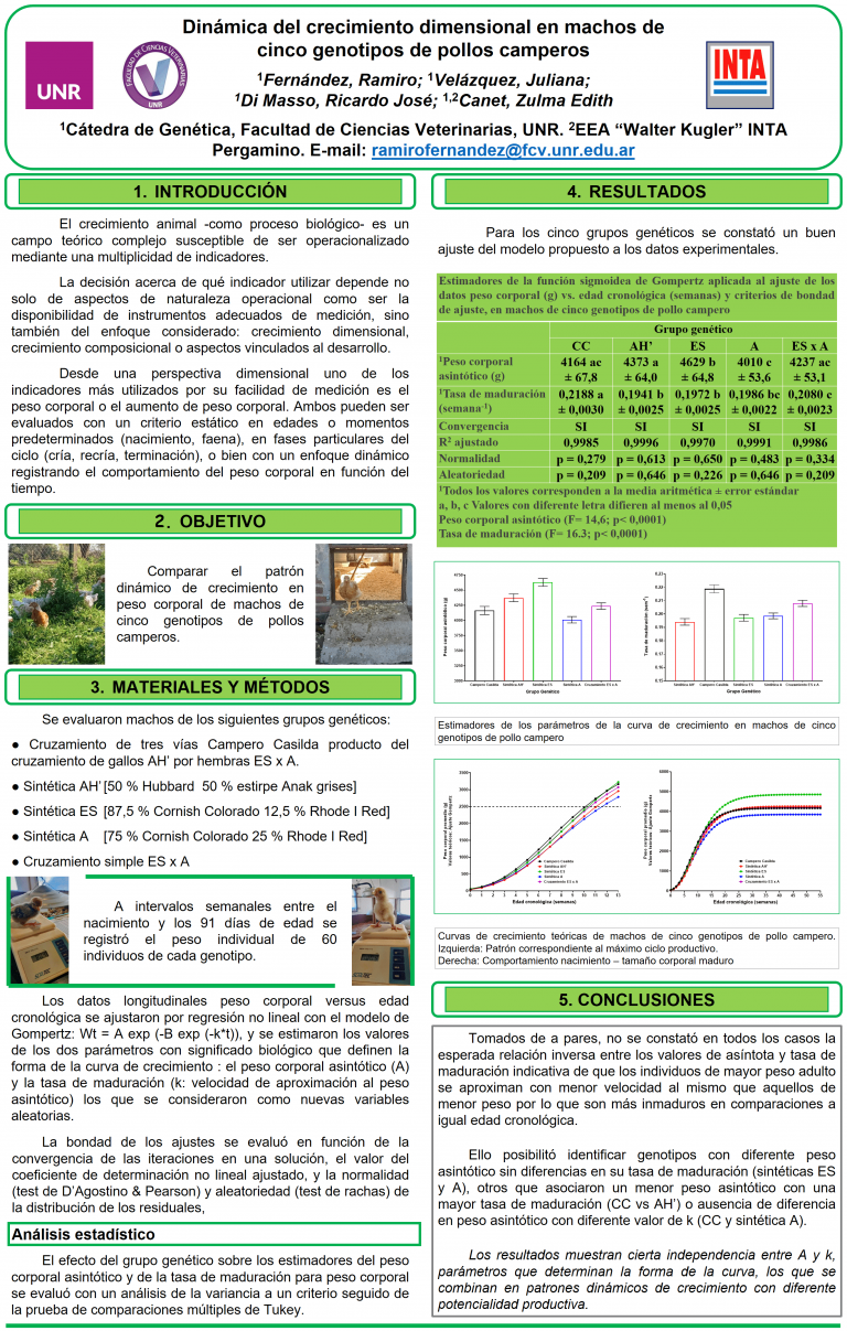 Read more about the article DINÁMICA DEL CRECIMIENTO DIMENSIONAL EN MACHOS DE CINCO GENOTIPOS DE POLLOS CAMPEROS
