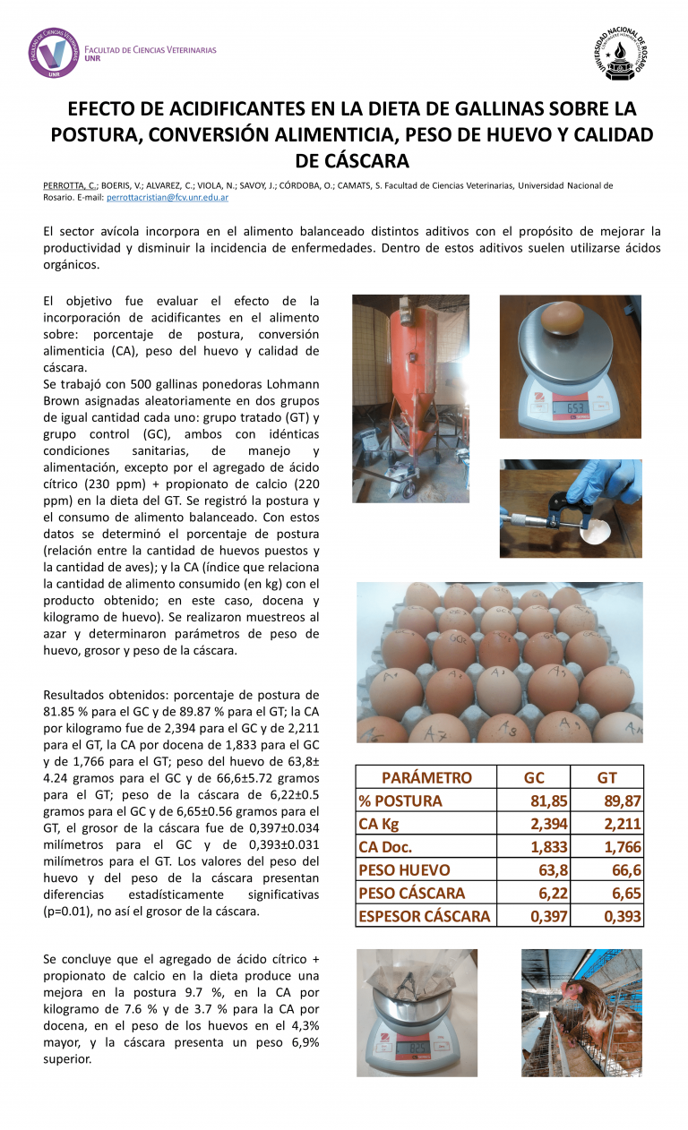 Read more about the article EFECTO DE ACIDIFICANTES EN LA DIETA DE GALLINAS SOBRE LA POSTURA, CONVERSIÓN ALIMENTICIA, PESO DE HUEVO Y CALIDAD DE CÁSCARA